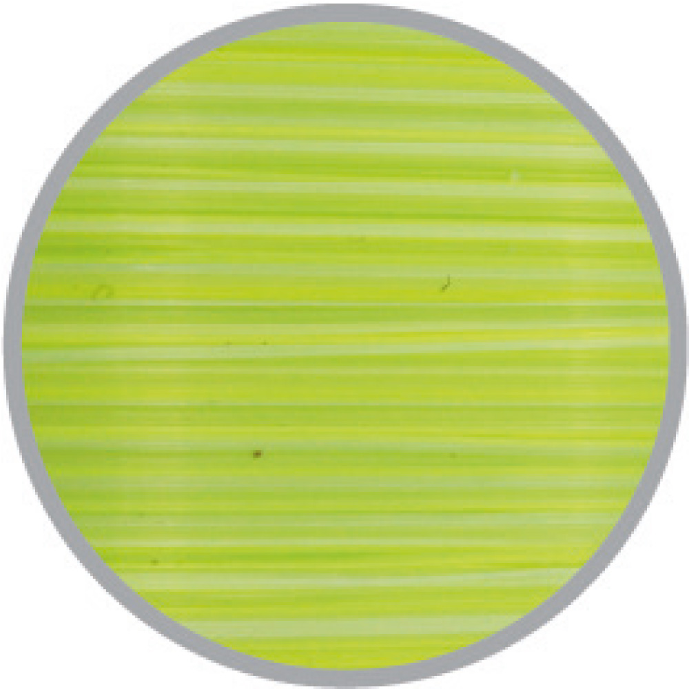 match-silicone-tri-colore(verde-fluo-bianco-giallo)